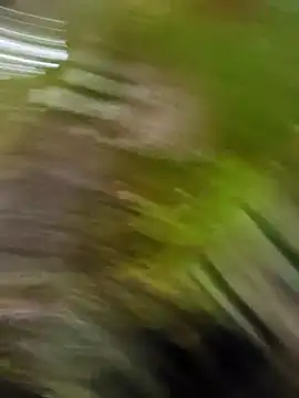 Pichoneterno online show from March 8, 2026, 12:09 pm