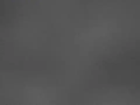 Sophie Maeve online show from November 10, 2025, 4:55 am