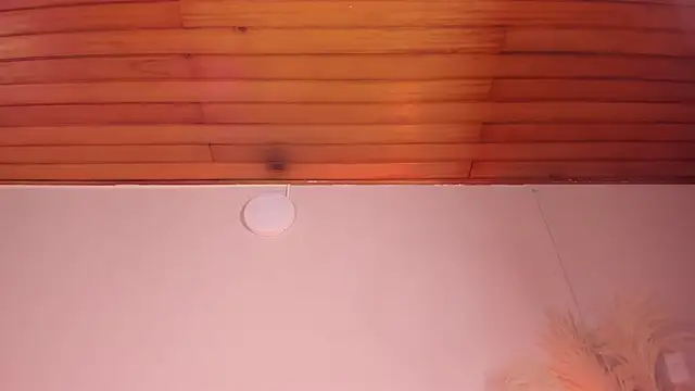 Snapshot of viol_collins__ chatting on March 22, 2025, 12:14 pm viol collins   online show from March 22, 2025, 12:14 pm