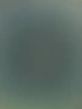 Alicia Montess online show from December 19, 2025, 1:40 pm