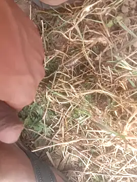 perplexedsoul online show from December 1, 2025, 9:14 am