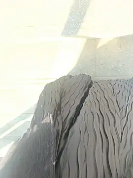 xiaoyuan01 online show from January 9, 2026, 2:25 am