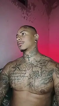 David tatto1 online show from February 14, 2026, 3:58 am