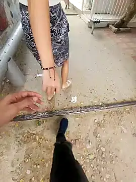 lilobaby online show from October 19, 2025, 8:53 pm