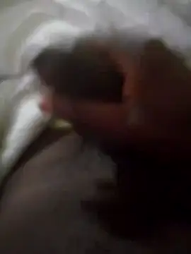 Snapshot of 92donis chatting on September 30, 2025, 3:55 am 92donis online show from September 30, 2025, 3:55 am