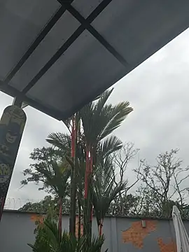 Yessica Lopezz online show from March 5, 2026, 11:28 am