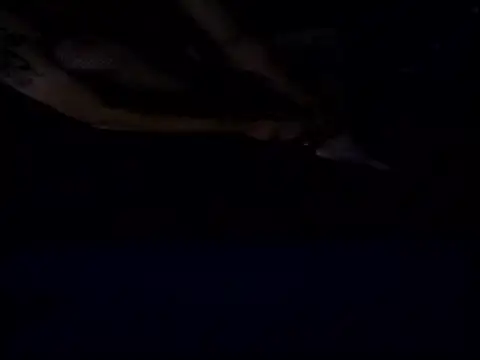 Crossedsissy online show from December 15, 2025, 5:34 am