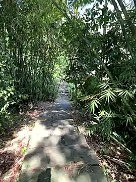 zack23088 online show from October 18, 2025, 2:03 am