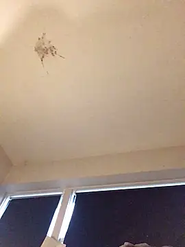 Sissy Cindy Whore online show from November 9, 2025, 2:04 pm