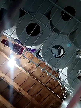 Single lagunero online show from March 16, 2026, 6:34 pm