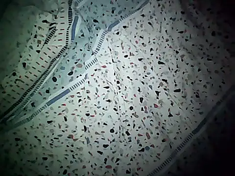 Snapshot of 20cmloiro chatting on November 8, 2025, 11:32 am 20cmloiro online show from November 8, 2025, 11:32 am