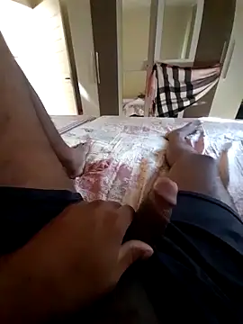 nego-insaciavel online show from November 14, 2025, 6:06 pm