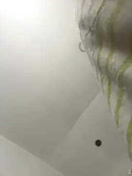 Noa Todokoro online show from September 18, 2025, 3:03 pm