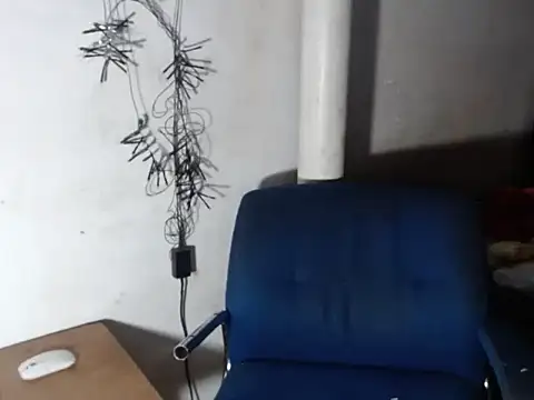 BebaFoxx online show from November 30, 2025, 7:01 am