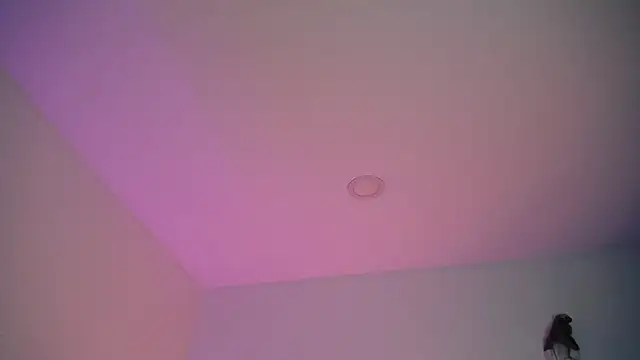 Snapshot of Stepha_babe chatting on September 8, 2025, 10:53 pm Stepha babe online show from September 8, 2025, 10:53 pm