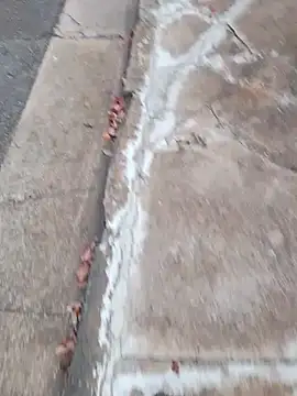 dickcurved38 online show from February 20, 2026, 4:53 am