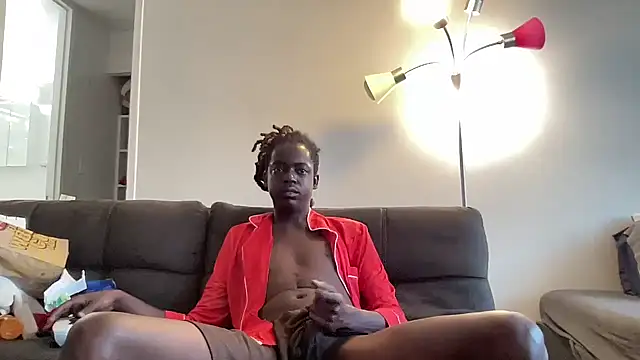 Snapshot of Wdesean4 chatting on July 15, 2026, 12:49 am Wdesean4 online show from July 15, 2026, 12:49 am