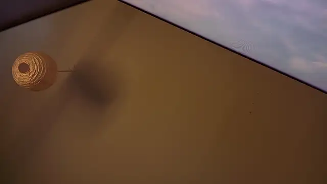 MasterDaddyCool online show from January 8, 2026, 7:27 pm