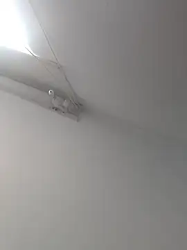 Snapshot of Tattoboy19cm chatting on October 19, 2025, 8:09 pm Tattoboy19cm online show from October 19, 2025, 8:09 pm