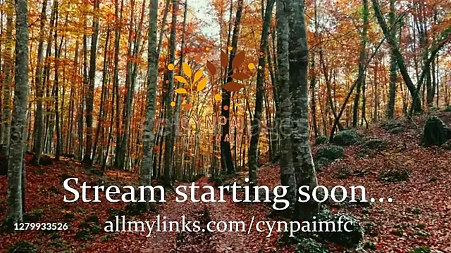 Cynpai online show from November 17, 2025, 4:29 am