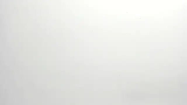 ximena vasquez8 online show from December 17, 2025, 3:01 am