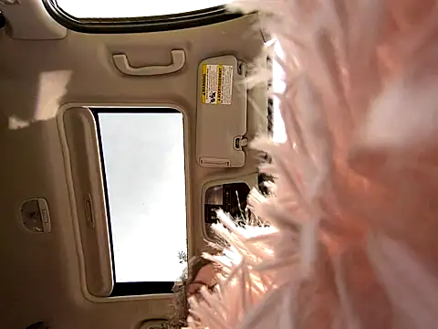 GirlSquirt online show from September 30, 2025, 6:13 pm