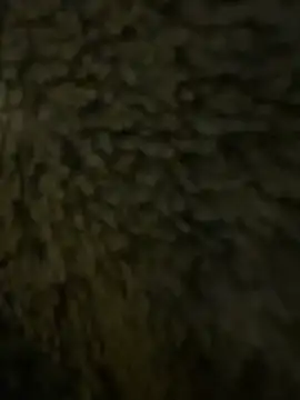 anonimgirl18old online show from February 21, 2026, 6:31 pm