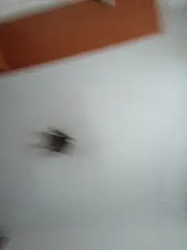 Hottiesophie online show from March 25, 2026, 4:13 pm