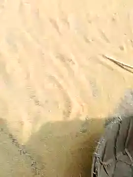 CatchingBouquet online show from November 21, 2025, 4:44 am