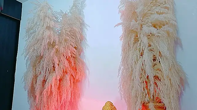 JulietaDavis online show from February 4, 2026, 9:37 am