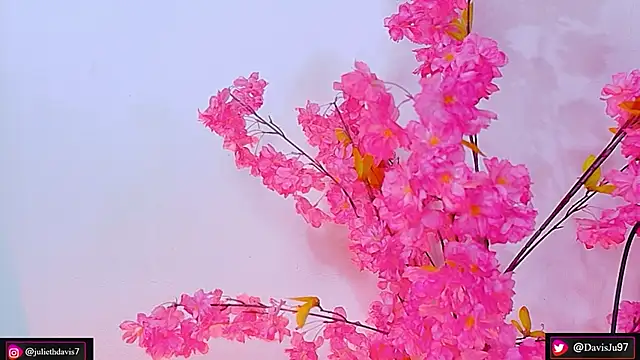 JulietaDavis online show from May 27, 2026, 9:39 am