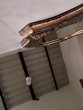 Hiroshi Shen online show from October 27, 2025, 11:03 am