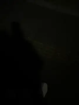 SL NIKI PUBLIC online show from December 22, 2025, 11:07 am