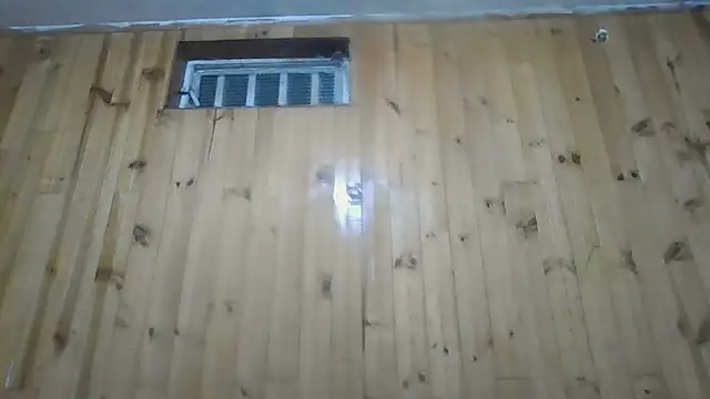 Snapshot of Roselingalvis13 chatting on October 30, 2025, 3:19 am Roselingalvis13 online show from October 30, 2025, 3:19 am