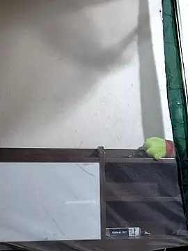 Snapshot of Maria2299 chatting on November 6, 2025, 5:36 pm Maria2299 online show from November 6, 2025, 5:36 pm