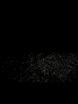 steelwoodVids online show from November 19, 2025, 1:49 am