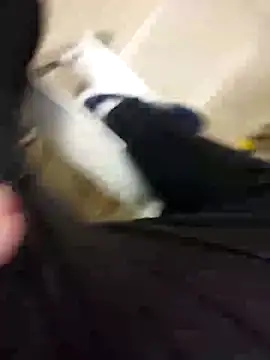 guridosul051 online show from September 17, 2025, 11:12 am