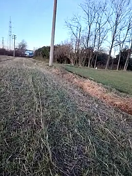 Prince-sexy online show from January 6, 2026, 3:05 pm