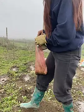 isaaa5 online show from March 17, 2026, 2:38 am