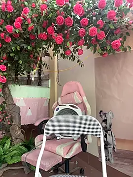 Bollozzy 89 online show from October 4, 2025, 4:54 am