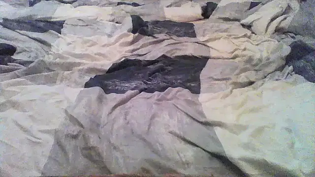 Snapshot of Just4fun_hot chatting on October 8, 2025, 10:13 am Just4fun hot online show from October 8, 2025, 10:13 am