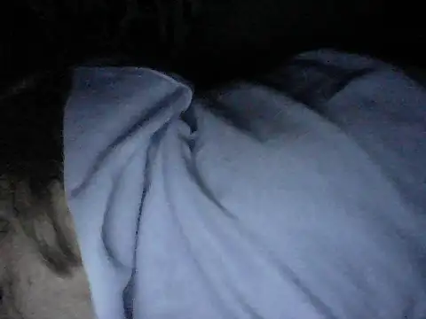 Twoslipperywhenwett online show from November 17, 2025, 1:39 pm