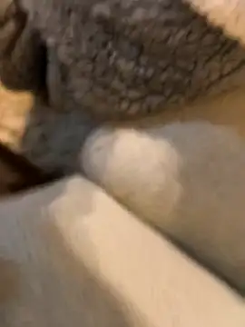 boy8540 online show from January 19, 2026, 5:44 am