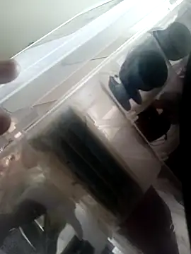 Snapshot of Isabella5_Brown_ chatting on October 7, 2025, 2:36 pm Isabella5 Brown online show from October 7, 2025, 2:36 pm