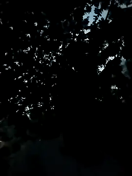 Snapshot of Girls_pussy_rider chatting on November 24, 2025, 12:38 pm Girls pussy rider online show from November 24, 2025, 12:38 pm