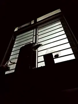 spsale online show from April 16, 2026, 9:50 pm