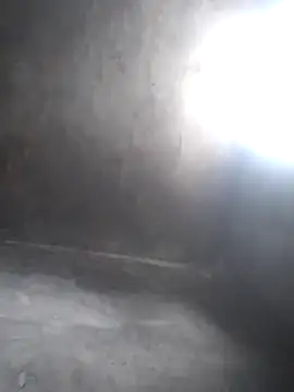 Chaotam1 online show from November 7, 2025, 7:30 am