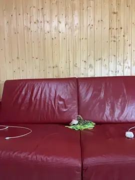 Snapshot of FoxStudioSex chatting on October 22, 2025, 4:51 pm FoxStudioSex online show from October 22, 2025, 4:51 pm