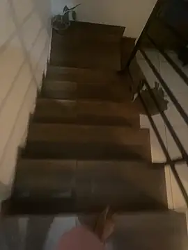 pretalst online show from November 19, 2025, 7:52 am