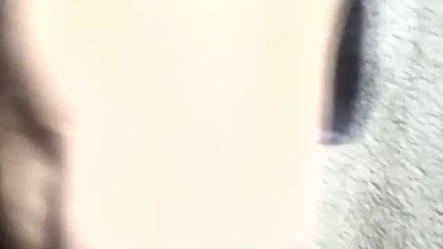 pietje1991 online show from March 6, 2026, 1:18 pm